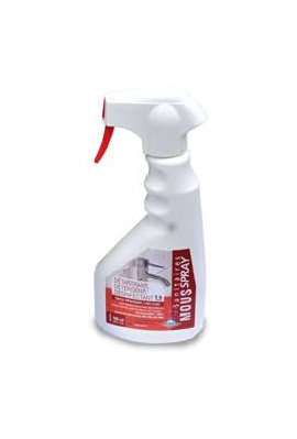 MOUSSE SPRAY SANITAIRE