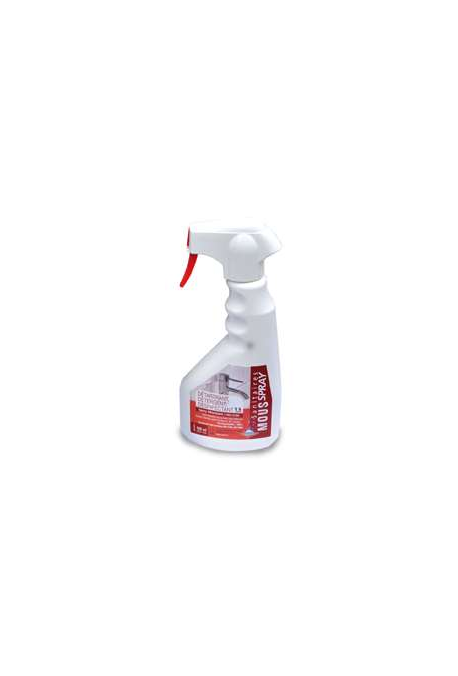 MOUSSE SPRAY SANITAIRE